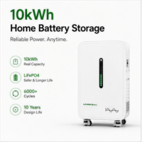 Système de stockage d'énergie domestique 10 kWh, batterie solaire LiFePO4 51,2 V avec onduleur de type split pour une alimentation de secours complète