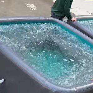 <span class=keywords><strong>Piscine</strong></span> gonflable extérieure pour adultes, en PVC épaissi avec technologie Drop-Stitch, protection UV, pour terrasse et jardin - Product Image 1