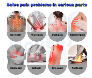 Dispositivo portátil de terapia de dolor PEMF de doble control, tapete PEMF, dispositivo de terapia magnética PEMF para atletas y caballos - Product Image 3