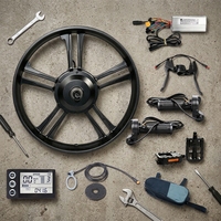 Kit de conversion de vélo électrique Reliago 48V 750W avec roue à pneu large 20x4.0, moteur de moyeu arrière sans balais à engrenages, écran LCD et poignée de commande rotative