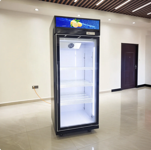 Refrigerador Comercial Personalizado al por Mayor, Refrigerador para <span class=keywords><strong>Cerveza</strong></span>, Enfriador de Bebidas Energéticas con Puerta de Vidrio, 300L - Product Image 6