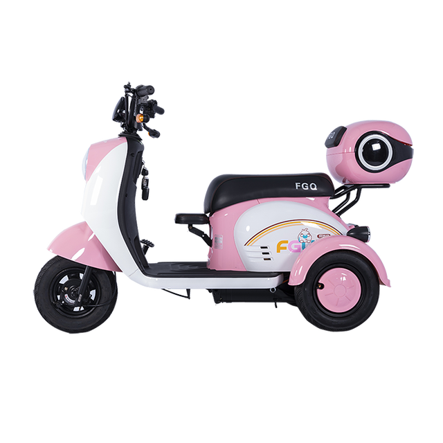 FGQ 3 Wheel Electric Bike Electric Adult Tricycle Scooter Electric for Family Use