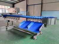 Automatische gewichtssorteermachine, industriële gewichtsselectiemachine voor vis, gevogelte, fruit en voedselverwerkingslijnen