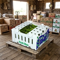 Boîte en plastique ondulé PP écologique, recyclable et réutilisable pour l'emballage de légumes, fruits, noix, collations, maïs, raisins, asperges