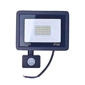 Ngoài trời không thấm nước <span class=keywords><strong>LED</strong></span> nhẹ Lũ lụt ít Apple <span class=keywords><strong>LED</strong></span> điều khiển từ xa hồng ngoại cảm biến cơ thể con người Đèn pha IP65 cho cảnh quan <span class=keywords><strong>PIR</strong></span> - Product Image 1