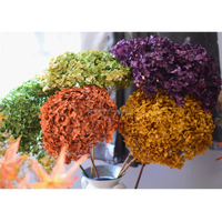 Bloemen Bruiloft Decor Natuurlijke Real Touch Geconserveerde Grote Blad Hortensia Met Lange Stengel Gedroogde Hortensia Bloemen