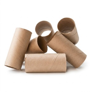Fundas Ultrafinas y Ajustadas de Vanguardia que Brindan Nuevas Comodidades Corporativas Exclusivas, Núcleo de Papel para Inodoros - Product Image 1
