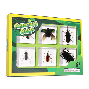 Prensa-papeles de taxidermia de insectos reales en bloque de resina, especímenes de coleopteros en resina, herramientas educativas para la enseñanza - Product Image 3