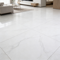 Carreaux de porcelaine polie de luxe pour la décoration des sols de cuisines modernes, salles de bain, supermarchés et halls - 600x600mm