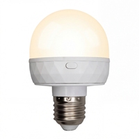Ampoule LED RUEA RD-01 rechargeable à télécommande intelligente, température de couleur réglable, Ra70-80, dimmable, DC5V, culot PC E27