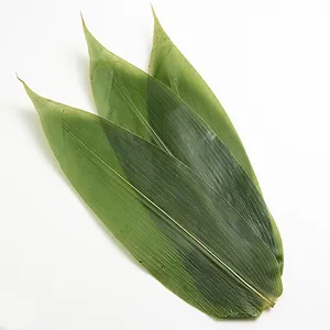 wholesale decorative green fresh bamboo leaves for sushi