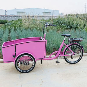 Vélo cargo électrique pour le <span class=keywords><strong>transport</strong></span> de chiens de famille adulte, siège avant, grande capacité, cadre en acier, 36V 250W, vélo électrique à assistance au pédalage - Product Image 2