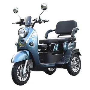 Bán Buôn Người Cao Tuổi 3 Bánh Xe Đôi Ghế Điện Động Cơ Ba Bánh Điện Trike Xe Máy