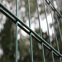 Valla 868 Económica con Alambre de 6/5/6 mm para Proyectos de Seguridad con Presupuesto Limitado