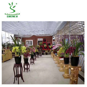 Fabricants grand fabricant de moules pour pots de fleurs à taizhou Moule pour pots de fleurs en plastique - Product Image 5