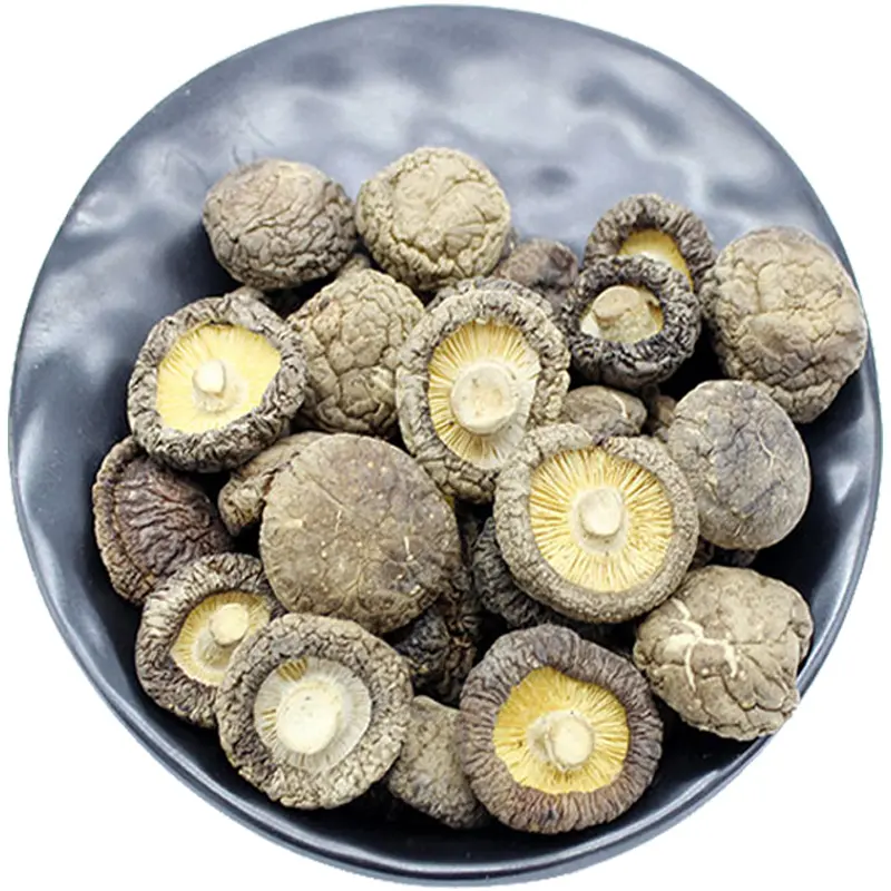 2021 Dried Shiitake Mushrooms Crop Bulk Package China Dried Shiitake Mushrooms