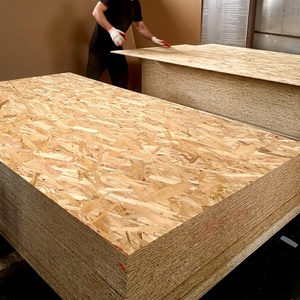 Vente en gros de contreplaqué filmé industriel de 18mm peuplier eucalyptus de Chine pour la construction coffrage en béton 12mm - Product Image 5