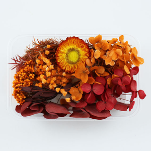<span class=keywords><strong>Flores</strong></span> <span class=keywords><strong>Secas</strong></span> <span class=keywords><strong>y</strong></span> <span class=keywords><strong>Preservadas</strong></span> para Manualidades, Caja de Materiales de <span class=keywords><strong>Flores</strong></span> Eternas de Colores Mixtos Aleatorios, Decoración DIY - Product Image 4