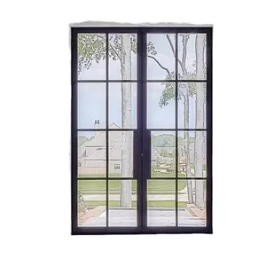 Modern Residential building french crittal steel frame door sound insulation anti-theft corrosion resistance swing door