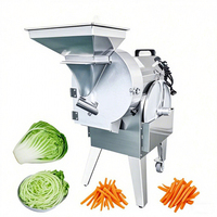 Multifunctionele snijmachine voor groenten en fruit, roestvrij staal 304, motor aangedreven, commercieel gebruik