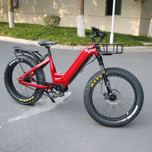 Vélo électrique à pneus larges longue portée 48v 750W 1000W, transmission par <span class=keywords><strong>courroie</strong></span>, nouveau <span class=keywords><strong>moyeu</strong></span> <span class=keywords><strong>Rohloff</strong></span> 14 vitesses, vélo électrique - Product Image 2