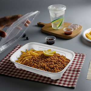 Hộp cơm trưa nhựa hình vuông dùng một lần, có thể dùng lò vi sóng, kèm nắp, dùng để bảo quản thực phẩm và mang đi, đóng gói trong thùng carton - Xuất xưởng trực tiếp - Product Image 6