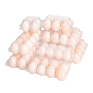 Cheap Price Plastic Egg Tray Manufacturer In The Philippines Kenya