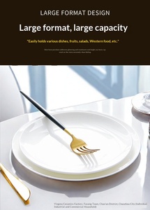 Assiettes plates en céramique et porcelaine modernes, écologiques, en gros, à prix réduit, 10,5 pouces, blanc pur, pour restaurants et hôtels (OEM) - Product Image 5