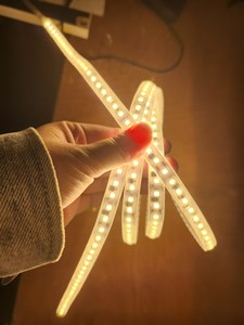 Bande <span class=keywords><strong>LED</strong></span> en cuivre haute tension 220V 8mm, étanche IP65, double isolation, économie d'énergie, dimmable, pour aménagement paysager, usage commercial et domestique - Product Image 2