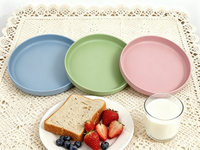 Plaque en silicone jetable de qualité alimentaire durable résistante à la chaleur sans BPA gravure personnalisée sans danger pour restaurant fête usage domestique