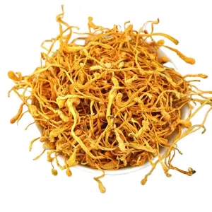 DETAN wholesale bulk cordyceps militaris dried cordyceps militaris for sale