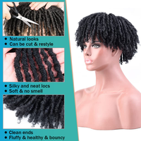 Perruques Dreadlocks Synthétiques à Bas Prix pour Hommes, Modèles Courts Bouclés