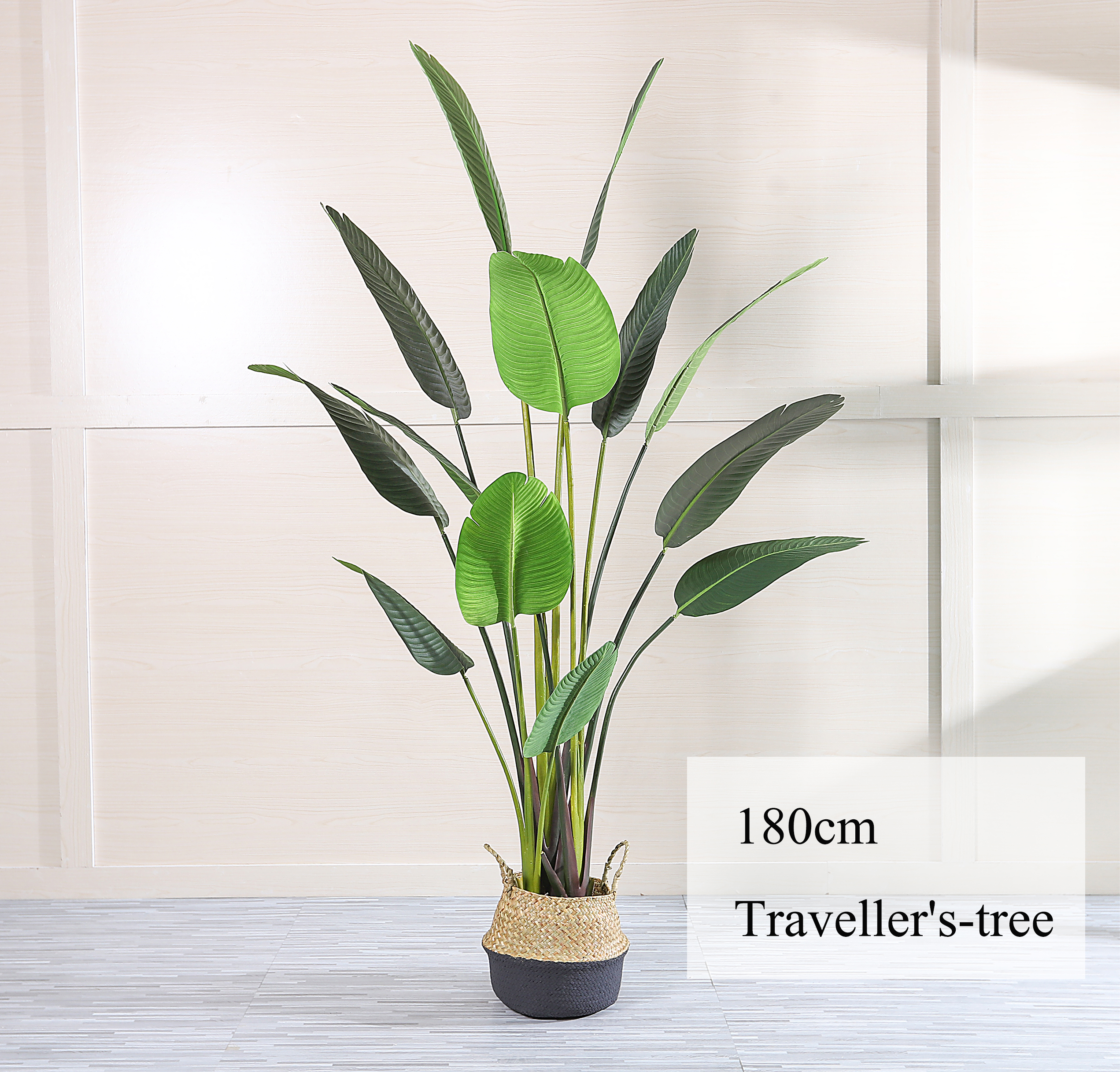 180ซม./ต้นกล้วย-เขียว