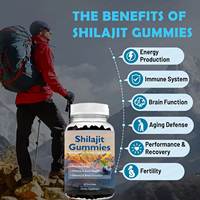 Échantillon gratuit extrait de shilajit gommes naturelles shilajit herb be bodywise pure himalayan shilajit gummies