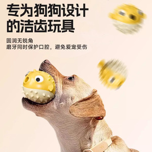 Juguete masticable para perros Bouncy Fish, pequeño, de plástico, para combatir el aburrimiento, para jugar en interiores, para cachorros y perros - Product Image 5