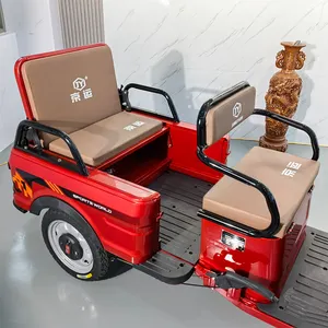 700W Hot Sale Motor Tricycle For Families Carrying Passengers Motorized Tricycle For Adults