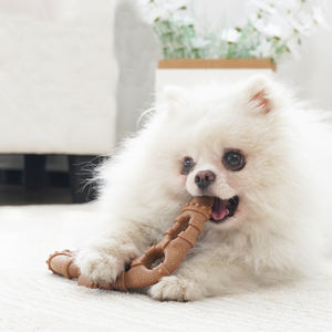 आधुनिक लकड़ी प्लास्टिक चबा प्रतिरोधी स्वच्छ दांत छोटे/मध्यम कुत्ते और बिल्ली दांत पालतू खिलौने - Product Image 1