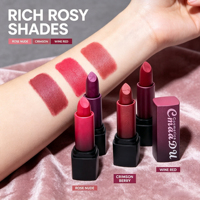 Rouge à lèvres mat LSFAIRY LS261, haute pigmentation, waterproof, sans transfert, tons nude, rouge, brun, vente en gros, marque privée