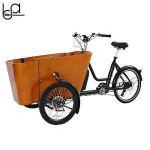 EU Warehouse Spezial transport E Trike Cargo Fahrrad wagen Cargo 3 Wheel Family Cargo Kids