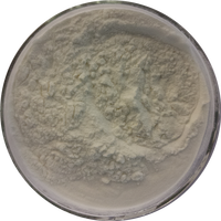 Danshensu Sodium 98% Danshen Extrait Danshen Poudre Concentrée 10:1 Haute Qualité et Haute Teneur de Qualité Alimentaire