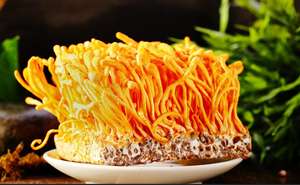 Ekstrak tanaman grosir US / EU 10% 30% 50% Polysaccharide Cordyceps Militaris jamur Cordyceps Sinensis bubuk ekstrak - Product Image 2