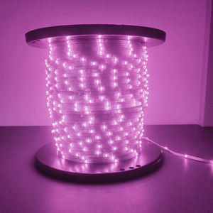 <span class=keywords><strong>Guirlande</strong></span> lumineuse <span class=keywords><strong>LED</strong></span> <span class=keywords><strong>micro</strong></span> intelligente DC12V 24V 3V 2835 <span class=keywords><strong>LED</strong></span> Pixel <span class=keywords><strong>guirlande</strong></span> lumineuse RGB adressable pleine couleur IP65 fil transparent - Product Image 2