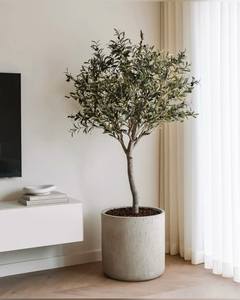 Premium Lightweight GFRC Vietnam Concrete <b>Planter</b> Frost Resistant Waterproof Outdoor Cement Plant <b>Pot</b> Factory Direct Price - Product Image 2