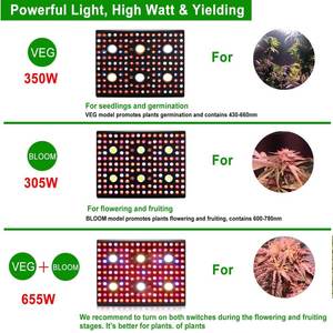 AGLEX COB 3000W LED à spectre complet élèvent des lumières Veg et commutatur <span class=keywords><strong>de</strong></span> <span class=keywords><strong>fleur</strong></span>, usine <span class=keywords><strong>de</strong></span> LED élèvent la lampe LED - Product Image 3