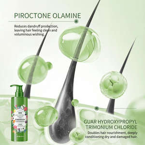 Shampoo antipelliculaire en gros, contrôle du sébum, biologique, naturel, perte de cheveux, marque privée, sans sulfate, shampooing nettoyant en profondeur, OEM ODM - Product Image 5