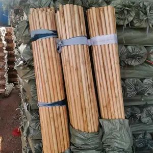 Proveedor de exportación de fábrica, palo de escoba con mango cepillado barnizado, mangos de escoba de madera y Palo de mopa de madera