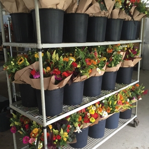 Profession Fabrication Pépinière Pot Usine Haute Qualité 1 2 3 5 6 7 8 10 13 20 25 Gallon Pot <span class=keywords><strong>De</strong></span> Fleur En Plastique - Product Image 6