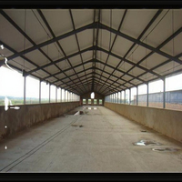 Hangar d'élevage de volaille à structure en acier à côté ouvert de conception moderne