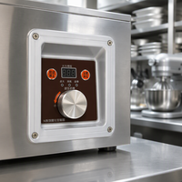Cuisinière portable multifonctionnelle en acier inoxydable pour usage commercial et domestique, idéale pour les petits stands extérieurs, à cuisson rapide et économe en énergie, facile à nettoyer