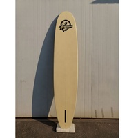 Planche de surf longboard 2024 de haute qualité, légère, en résine époxy teintée pour les eaux océaniques, vente en gros